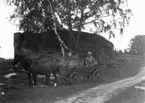 Björken som växer i Klovstenablocket och en hästkärra. En man i hästkärran.