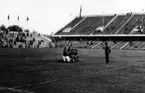 AIK fotograferna före fotbollsmatchen mellan Sverige-Danmark på Råsunda fotbollsstadion, Stockholm.