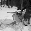 Skogsbruk, trädfällning, en man med motorsåg.
Gustafsson & Gortz (beställare ?).