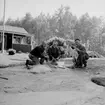 Tre män.
Envånings bostadshus till vänster på bilden.