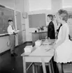 Rostaskolan, klassrumsinteriör, skolbarn.
Sussis och Hasses examen.
Examen i andra klass, lärarinna Märta Ljung.