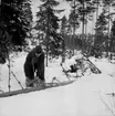 Skogsbruk, trädfällning, en man med motorsåg.
Gustafsson & Gortz (beställare ?).