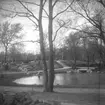 Stadsparken.
1943.