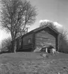 Kullängsstugan, exteriör.
29 april 1948.