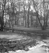 Örebro slott, exteriör.
13 januari 1949.