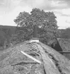 Siggebohyttans bergsmansgård, exteriör.
27 juni 1955.