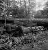 Stora Lassåna, stångjärnshammare.
7 juli 1955.