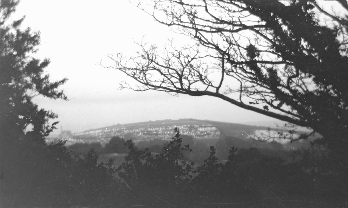 Utsikt over jordbruk- og naturlandskap samt landsbybebyggelse, sannsynligvis fra Isle of Wight.