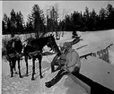 Kavalleriskolan 1908-09 samt tävlingar 1911-14. 
Vintermarsch Umeå - Sollefteå - Umeå 1909. Chefen med adjutant vid Faluböle.