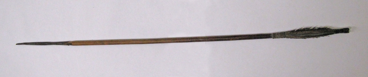 En av 2 pilar med järnspets, holk och fyrkantig sektion och lite tjockare skaft än E 00 091 och E 00 093.
60 cm. lång. Pilen har träskaft, befjädring med 4 fjädrar, snörade upp - och nertill och har en skåra.

Jämför Delachaux: Ethnographie de la region du Cunene. Pl.XXXl: 6. Kwamatwi: järnspets. L. 74,4 cm.
V. Lebzelter: Eingeborenenkulturen in Sudwest und Sudafrika. 1934. P. 223. Fig. Pfeilbefederung. ll: Uukualuthi, Ukuambi.

Föremålet tillhör den etnografiska samlingen.