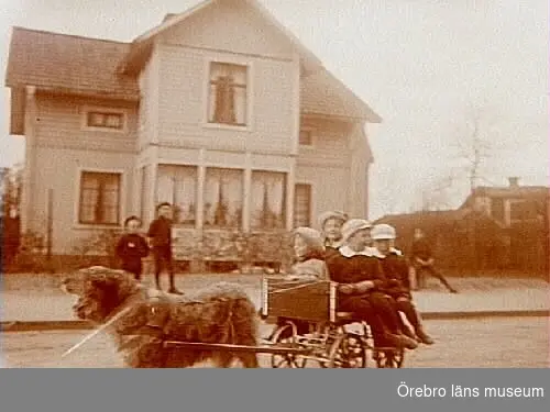 Hunden Björn med kärra och flera barn.
Bostadshus i bakgrunden.