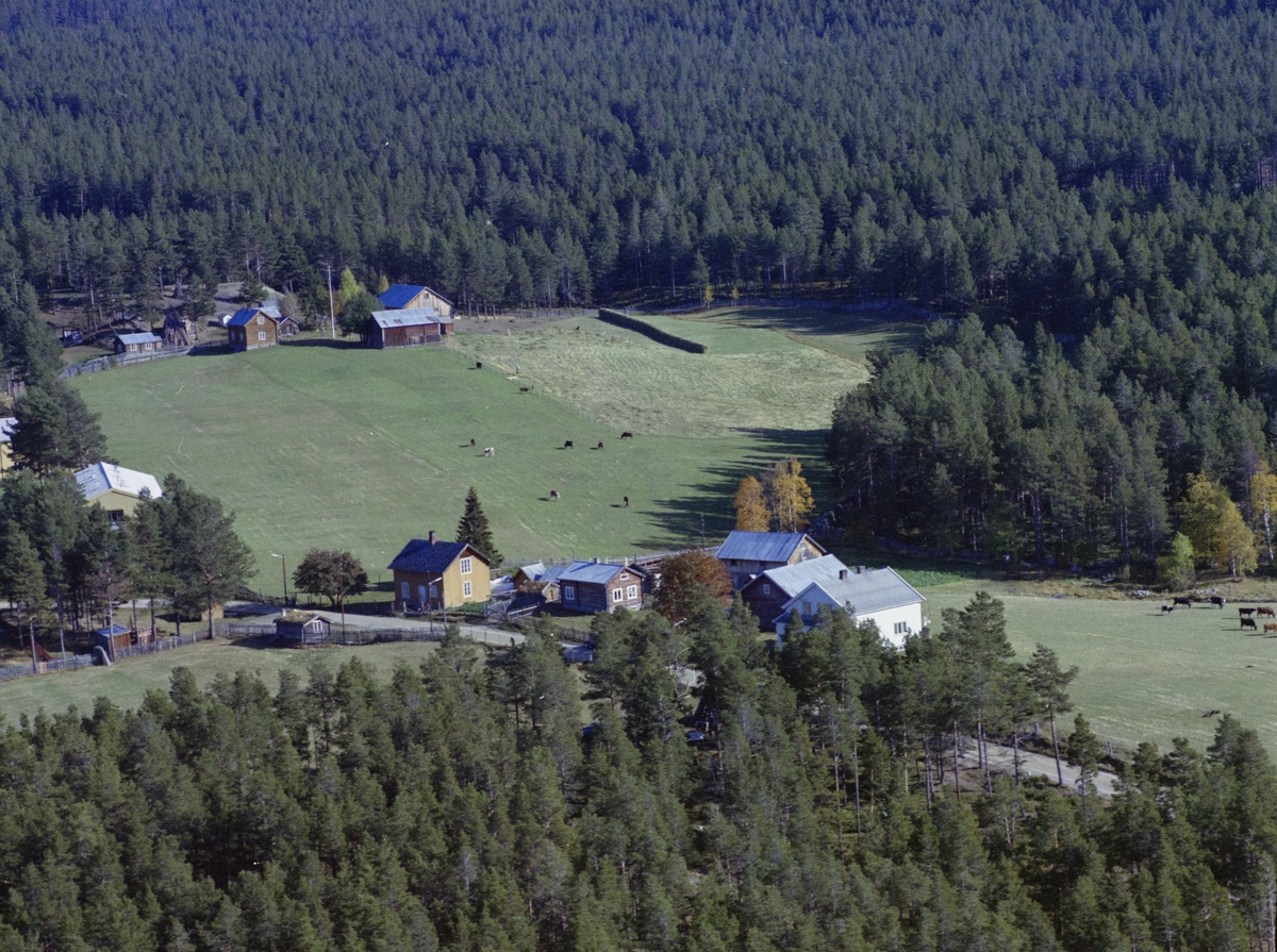 Flyfoto, bebyggelse, gårsbruk, antatt Skåtådalen i front, Dombås. Bildet nevnt som Dalplass