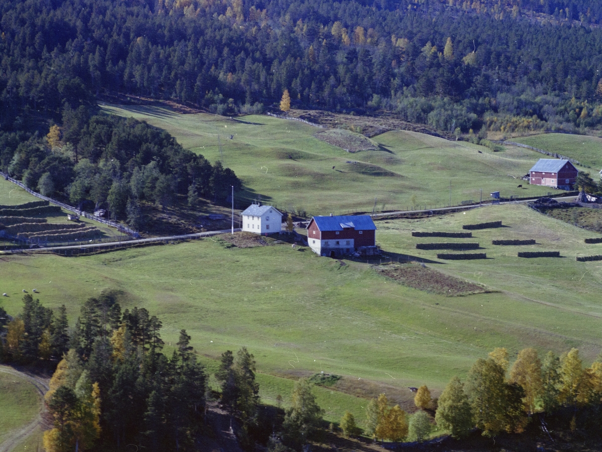 Flyfoto,landskap med gårsdbruk. Bildet er merket med Holund, men er antagelig Holen eller også nevnt som Blæsterholen.