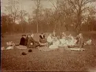 Picknick, 1/5 1921