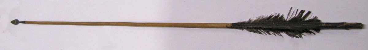 En av fyra pilar med järnbladsspetsar och ljusa skaft. Längd: 69 cm.
 12/1 67: Lagergren: batetela, baluba, basnge. Från Kongo-Kinshasa.

Ingår i Byrlunds samling.

Föremålet tillhör den etnografiska samlingen.