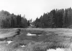 Gamla landsvägsbron Askersund - Tived, från den nya vägen.