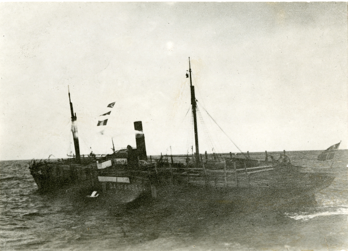 Det norske dampskipet Dania med heiste signalflagg