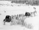 Infanteriförband iklädda snödräkt på skidor efter bandvagn 202.