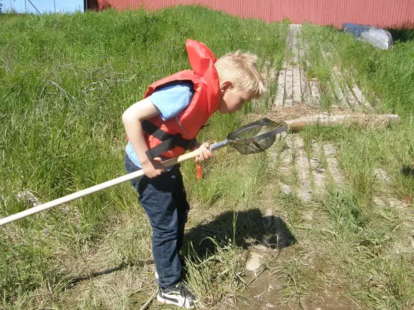 Foto av en gutt som ser etter vanninsekter i stangsilen sin