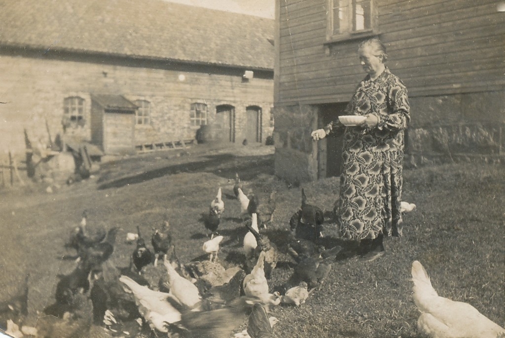 Marta Olena Svensdtr. Tunheim (1867 - 1952) matar hønene.