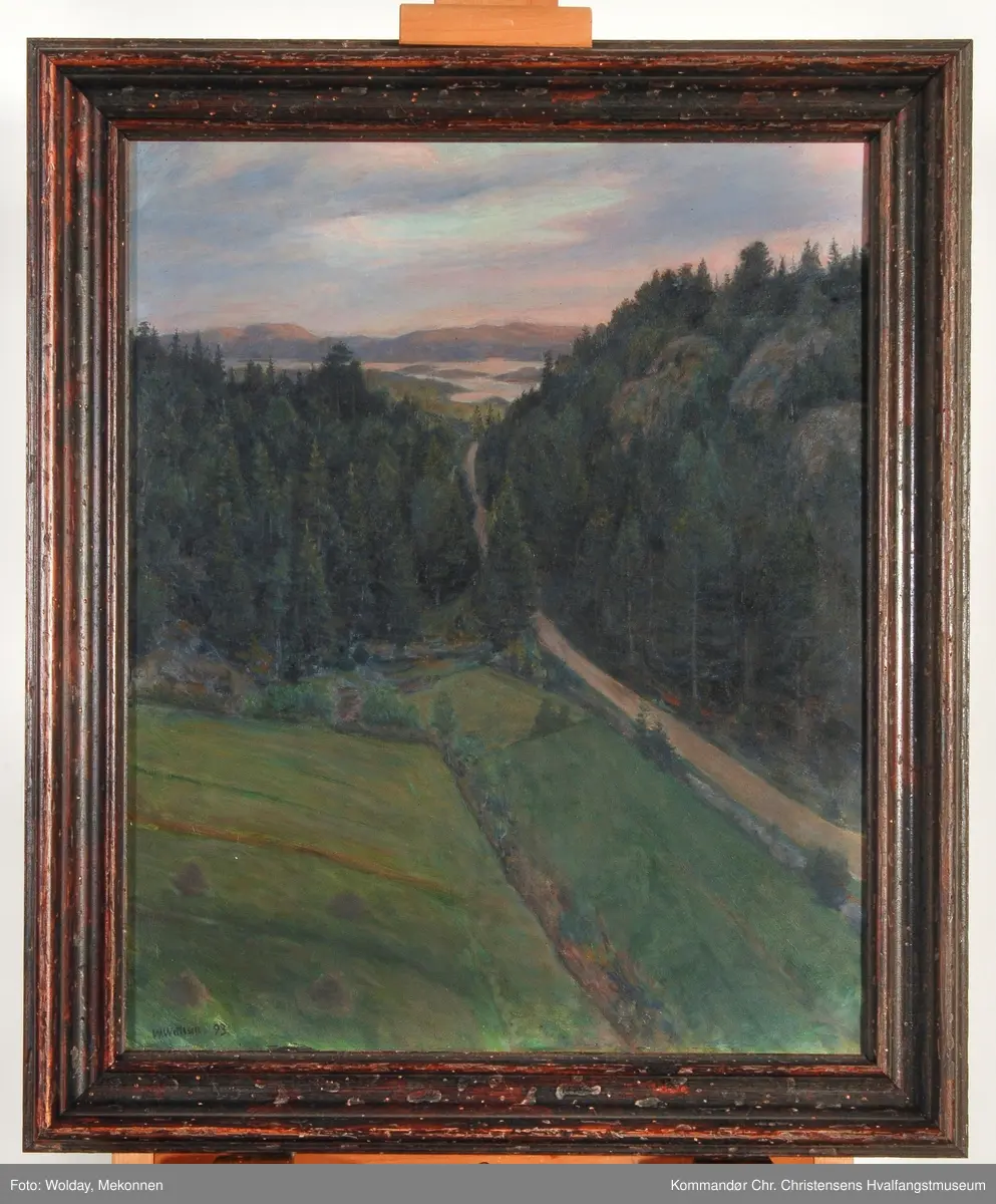 Skog, jorder, vei og fjord i bakgrunnen.