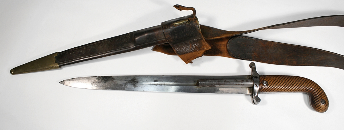 Riksvåpen. Den norske løve.