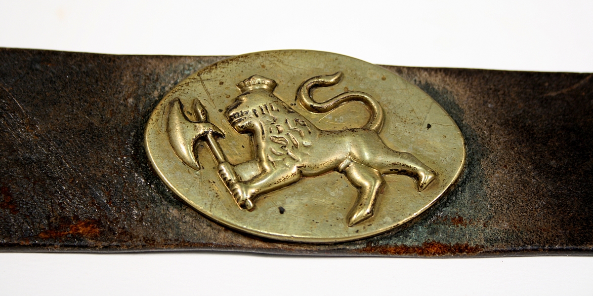 Riksvåpen. Den norske løve.