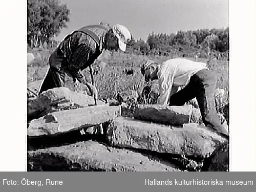 Gustav Morgan (med rutig skjorta) och Knut bygger en gärdesgård.