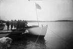 Drottning Victorias bilder. Prins Gustav Adolf och greve Göran Posse byggde en segelbåt, 1904, på Tullgarn med hjälp av en båtbyggare. Här flyter 