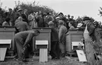 Biodlaredag på Ultuna, Uppsala augusti 1948