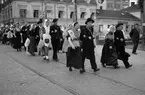 Holländska folkdansare, Vaksalagatan, Uppsala 1948