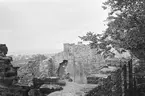 Drottning Victorias bilder. Borgholms slottsruin.
Nr 46