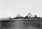 Pyramiderna i Egypten. Fotograf Beato, Antonio Felicio.
Fotografiet inköpt av C.G. Wittenström.