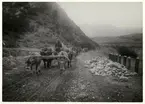 Grusinska härvägen, Kaukasus.
Bilden ingår i två stora fotoalbum efter direktör Karl Wilhelm Hagelin som arbetade länge vid Nobels oljeanläggningar i Baku.