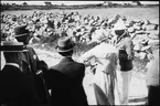 Ljusbild, fotografi från Nordiska arkitekturmötet på Gotland 1920. Sällskap vid stenmur vid vattnet.