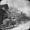 Skioptikonbild med motiv från utanför stadsporten, Rothenburg.
Bilden har förvarats i kartong märkt: Rothenburg I. 1901. Text på bild: 