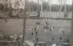 Sommarolympiaden i Rom 1960. Deltagare i fälttävlan  bl.a. Ewert Olausson, Livregementets husarer K3.