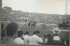 Sommarolympiaden i Rom 1960. Deltagare i fälttävlan  bl.a. Ewert Olausson, Livregementets husarer K3.