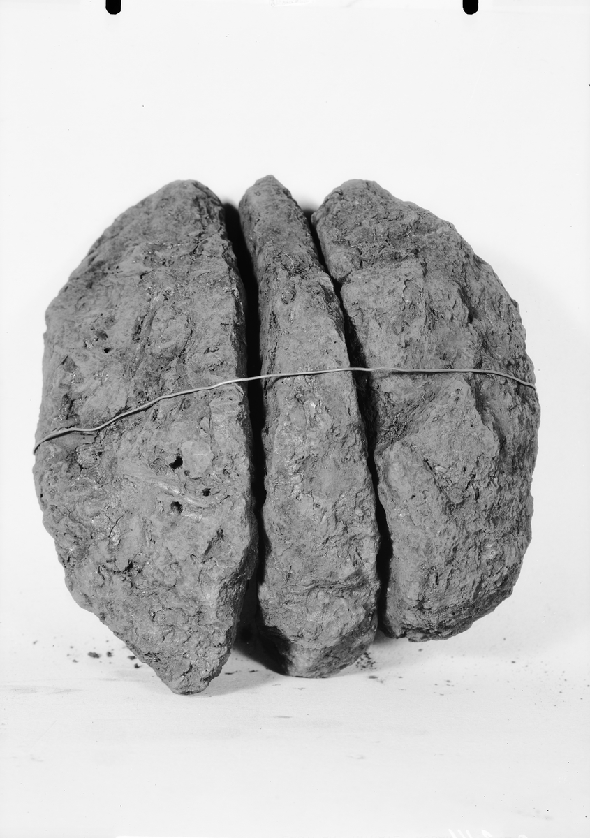 Ursprungligen 59 st. bitar av kluvna osmundstycken. 4 st.skänkta, 55 st. återstår. Bitarna är numrerade I-LVII (2 utan nummer för undersökning). Packade i 3 lådor. Dessutom tillhör en sockerlåda innehållande ved som troligen är järnoxid. Lådan märkt "Rost".