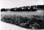 Risholmens torvindustri. Torvarbete omkring 1945. Framkörning av torv.