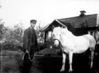 Hugo Båge i Karlsgården, son till soldat Alexander Båge. Hästen hette Rosia.