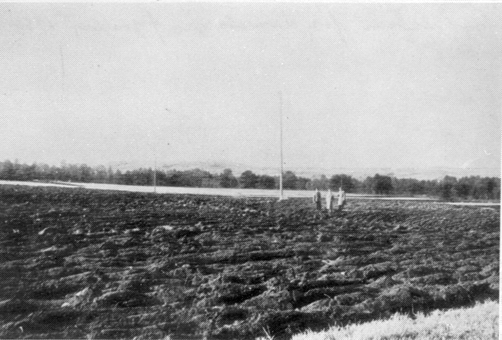 Fyndplatsen för Svartarpsfyndet 1938.