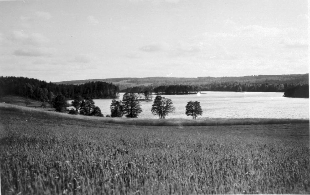 Stråken vid Broholm.