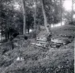 Löväng på Kyrkokvarns marker, kalkstensberg i dagen.