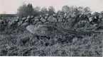 Runsten vid Skyberg före resningen den 13-10-1934. Sedd från öster.