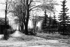 Scheelegatan 9. Foto före 1940. Träden togs bort och gatan anlades omkr. 1955. Förut var endast gångväg. Fastighetens ägare var 1940-1963 fru Anna Johansson. Målare Gösta Fågelberg köpte 1963 och sålde den 1971 till byggmästare Ragnar Sköld, Vartofta. Denne rev byggnaden och uppförde en ny, vilken han sedan sålde.