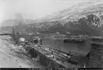 Vy från Narvik. Byggandet av kajanläggning, 1903.