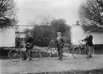 Bruksanställda på cykel. Eventuellt Forsmarks bruk. Från vänster Poststationsdföreståndare Fredrik Karlsson, Bruksakassör Karl Hammarström och Bruksbokhållare Herman Pettersson.