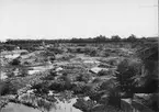 Sandstensbrott i Bergsvik 1904. Med fotografiet erhöll fotografen Svenska Turistföreningens fotostipendium 1904.