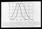 Skioptikonbild från Institutionen för fotografi vid Kungliga Tekniska Högskolan. Använd av professor Helmer Bäckström som föreläsningsmaterial. Bäckström var Sveriges första professor i fotografi vid Kungliga Tekniska Högskolan i Stockholm 1948-1958.
De internationella standardkurvorna för den spektrala fördelningen av ljustätheten i det mörkerdapterade ögat (till vänster) och det ljusadepterade, färgkänsliga ögat (till höger).
För mer info se: Kosmos. Swedish Science Press. Uppsala. 1945, s. 26.